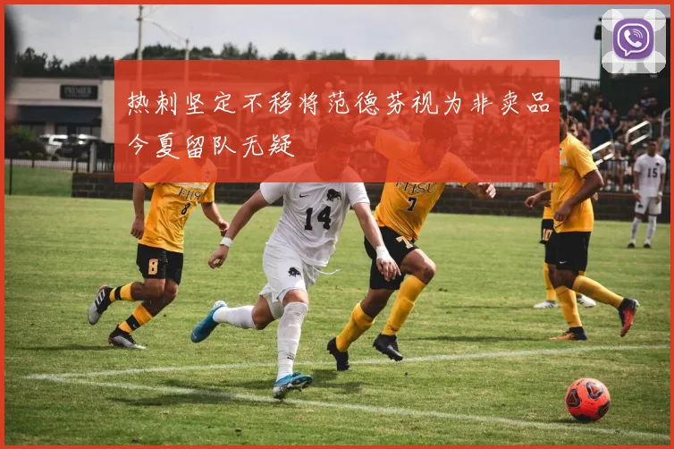 热刺坚定不移将范德芬视为非卖品今夏留队无疑